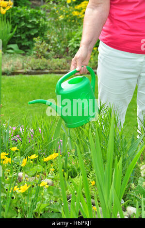 Frau gießt die Blumen im Garten Stockfoto