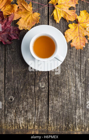 Tasse Tee mit Herbstlaub. Ansicht von oben. Stockfoto