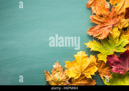 Buntes Herbstlaub auf Tafel. Ansicht von oben. Stockfoto