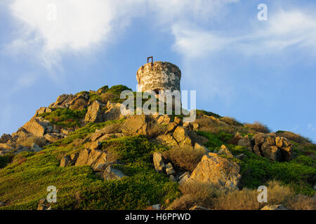 La Tour De La Parata - einem zerstörten genuesischen Turm in Ajaccio, Korsika, Frankreich Stockfoto