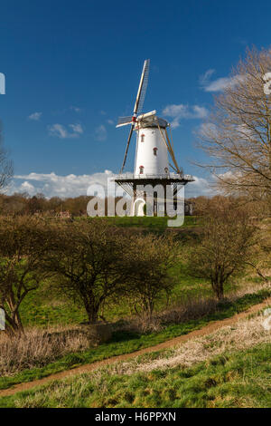 Weiße Mühle in Veere ansehen im Polder im Winter Sonnenlicht. Stockfoto