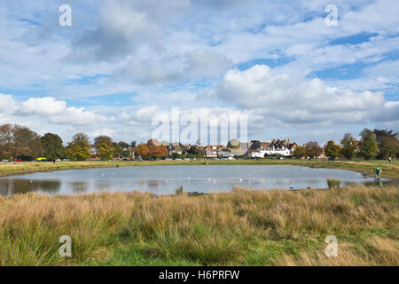 Rushmere Teich, Wimbledon Common, Südwesten von London, England, Vereinigtes Königreich Stockfoto