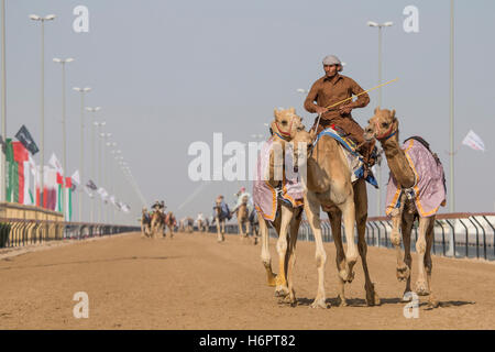 Dubai, Vereinigte Arabische Emirate, 24. März 2016: Mann Training Kamele in einem Rennen verfolgen, in der Nähe von Dubai Stockfoto