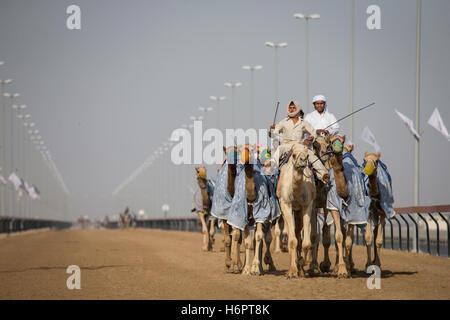 Dubai, Vereinigte Arabische Emirate, 24. März 2016: Mann Training Kamele in einem Rennen verfolgen, in der Nähe von Dubai Stockfoto