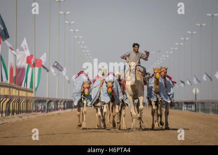 Dubai, Vereinigte Arabische Emirate, 24. März 2016: Mann Training Kamele in einem Rennen verfolgen, in der Nähe von Dubai Stockfoto