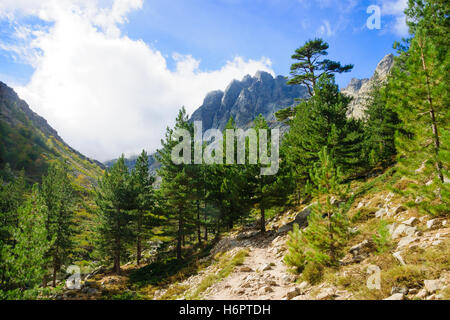 Die Restonica Schlucht (Gorges De La Restonica) in Korsika, Frankreich Stockfoto