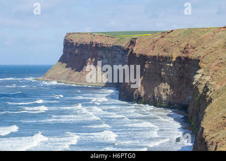 Blick Süden über einige der höchsten Klippen in England bei Saltburn durch Meer, North Yorkshire, England, Vereinigtes Königreich. Stockfoto