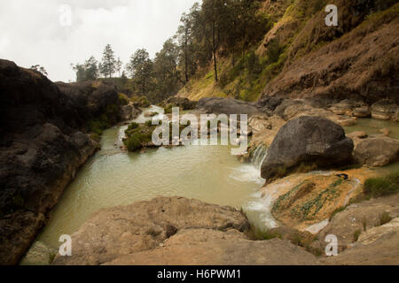 Heiße Quellen mit gelben Wasser am Mount Rinjani Vulkan, Lombok, Indonesien Stockfoto