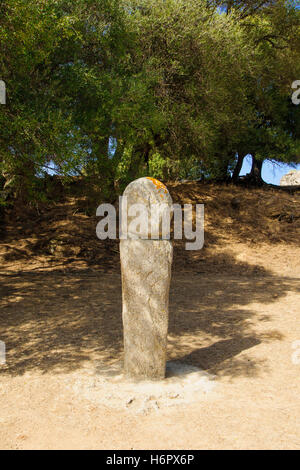 FILITOSA, Frankreich - 9. Oktober 2014: A Menhir in der megalithischen Ausgrabungsstätte Filitosa, Korsika, Frankreich. Filitosa liegt auf Stockfoto