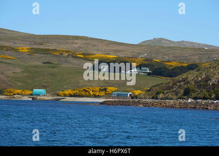 West Point Siedlung West Point Insel auf den Falkland-Inseln Stockfoto