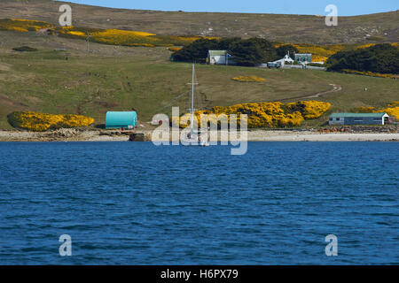 West Point Siedlung West Point Insel auf den Falkland-Inseln Stockfoto