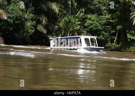 Bootsfahrt in den Kanälen von Tortuguero. Provinz Limon, Costa Rica Karibikküste, Tortuguero Nationalpark Stockfoto