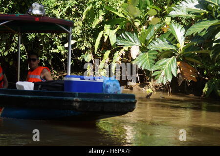 Bootsfahrt in den Kanälen von Tortuguero. Tortuguero Nationalpark. Costa Rica, Provinz Limon Stockfoto