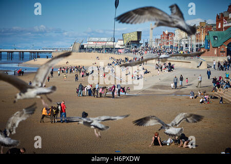 Blackpool beschäftigt überfüllten Strand Möwen Möwen Holiday Resort Lancashire touristischen Attraktionen Meer Attraktion Touristen trave Stockfoto