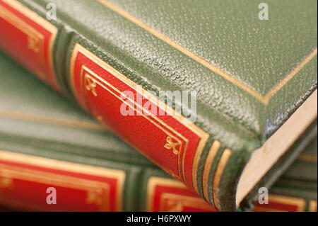 Antikes Buch rote und grüne Winkel Detail abdecken, konzentrieren sich auf geschlossene Seiten Stockfoto