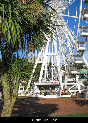 Die riviera Rad und Cafe hinter einem torbay Palm Tree an einem sonnigen Tag in Torquay, Devon, Großbritannien. Stockfoto