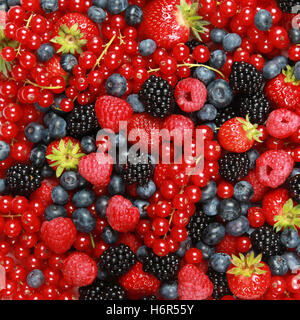 Lebensmittel Nahrungsmittel Gesundheit nähren Sommer sommerlich Stammarten Obst Obst Erdbeere Beeren schwarze Johannisbeeren Himbeer-Beere Stockfoto