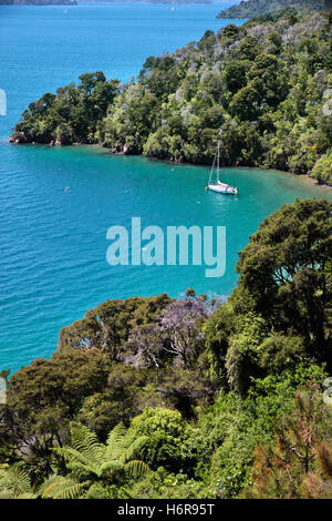 Segelboot in den Marlborough sounds Stockfoto