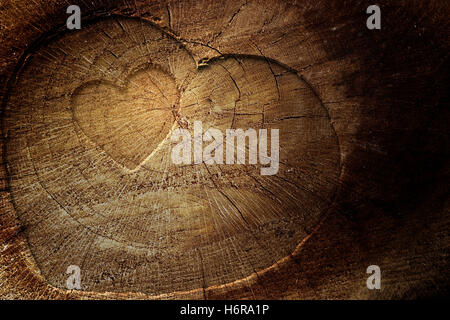 Tag während der Tag Text aus Holz Liebe verliebt verliebte sich in Liebe Hintergrund Hintergrund Makro Nahaufnahme Makro Aufnahme schließen sich Strukturansicht Stockfoto