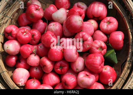 Obst und Gemüse Stockfoto