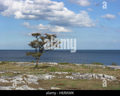 Simrishamn Stockfoto