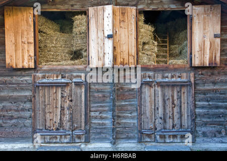 Landwirtschaft Stockfoto