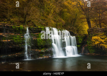 Pontneddfechan, Brecon Beacons National Park, Wales, UK. 31. Oktober 2016. Großbritannien Wetter.  Herbstfarben am Sgwd y Pannwr Wasserfall auf dem Fluss Afon Mellte in den Brecon Beacons National Park.  Foto von Graham Hunt/Alamy Live-Nachrichten Stockfoto