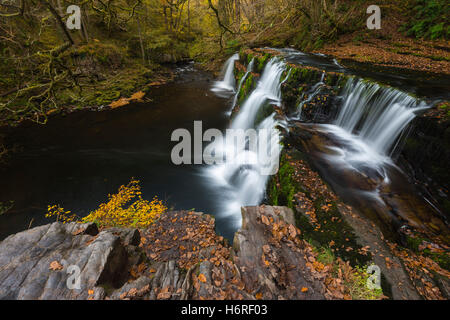 Pontneddfechan, Brecon Beacons National Park, Wales, UK. 31. Oktober 2016. Großbritannien Wetter.  Herbstfarben am Sgwd y Pannwr Wasserfall auf dem Fluss Afon Mellte in den Brecon Beacons National Park.  Foto von Graham Hunt/Alamy Live-Nachrichten Stockfoto