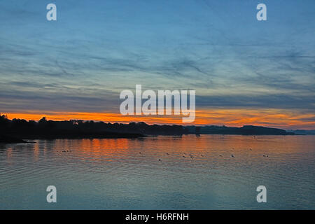 Normantan, UK. 31. Oktober 2016. UK-Wetter: helle Herbst Sonnenuntergang über Rutland Water. Sonniges Wetter folgte einen typisch nebligen Start in den Tag Credit: WansfordPhoto/Alamy Live News Stockfoto