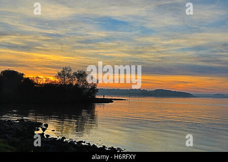 Normantan, UK. 31. Oktober 2016. UK-Wetter: helle Herbst Sonnenuntergang über Rutland Water. Sonniges Wetter folgte einen typisch nebligen Start in den Tag Credit: WansfordPhoto/Alamy Live News Stockfoto