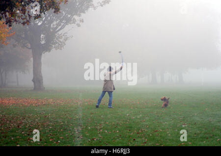 London, UK. 1. November 2016. Nebligen Morgen auf Wandsworth Common. Bildnachweis: JOHNNY ARMSTEAD/Alamy Live-Nachrichten Stockfoto