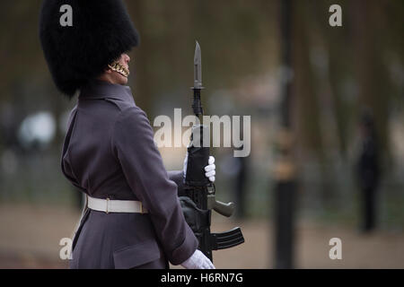 Die Mall, London, UK. 1. November 2016. Staatsbesuch des Columbias Präsident Juan Manuel Santos und seine Frau Maria Clemencia Rodriguez de Santos. Bildnachweis: Malcolm Park Leitartikel/Alamy Live-Nachrichten. Stockfoto