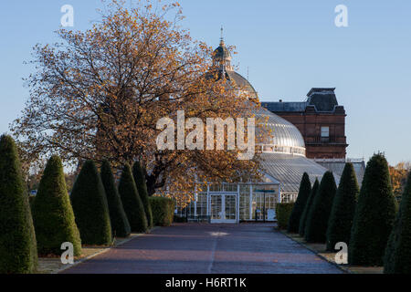 Glasgow, Schottland. 1. November 2016. Die Wintergärten und Peoples Palace in Glasgow Green Credit: Tony Clerkson/Alamy Live-Nachrichten Stockfoto