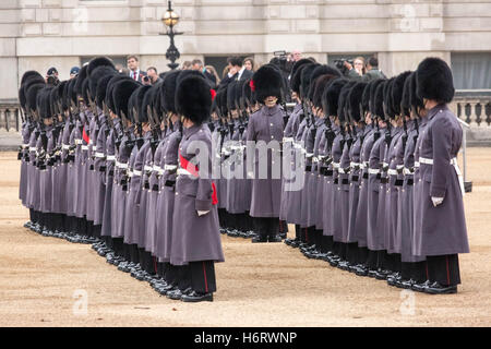 London, UK. 1. November 2016. 1st Battalion Coldstream Guards nehmen Bildung als Bestandteil der Guard of Honour in Horse Guards Parade bereit, dem Präsidenten von Kolumbien am ersten Tag seines Staatsbesuchs Kredit zu begrüßen: Guy Corbishley/Alamy Live News Stockfoto