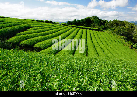 Landschaften Stockfoto