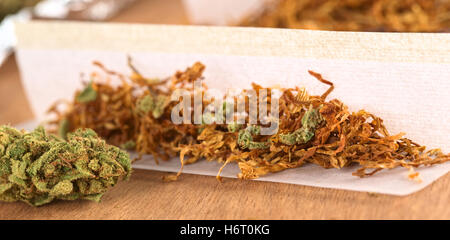 andere Freizeit Stockfoto
