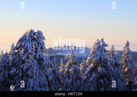 bei Sonnenaufgang auf dem brocken Stockfoto