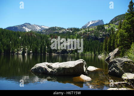 Baum Konifere Nadelbaum Wald Salzwasser Meer Ozean Wasser Berg blau Baum Stein Reflexion Radio stille Ruhe Stille rock Stockfoto