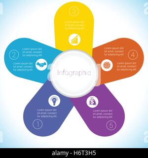 Blume Kamille Infografik Template bunte Blütenblätter fünf Positionen. Stock Vektor