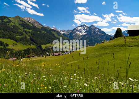 Alpen, Österreicher, Frühling, Blumenwiese, Almwiese, blau, Haus, Gebäude, Stockfoto