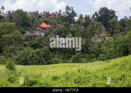 Resorts und Häusern, umgeben von Palmen, von der Campuhan Ridge Walk angesehen. Ubud, Bali, Indonesien. Stockfoto
