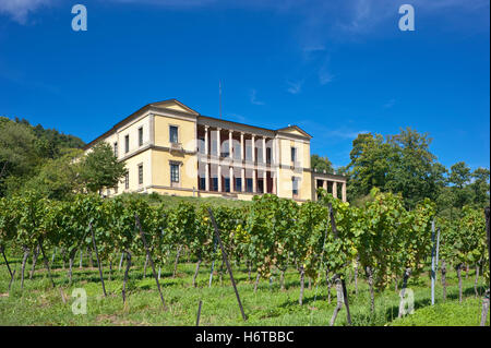 Historische Weinberge Europas Anbau von Wein Weinberg Deutschland Bundesrepublik Deutschland Villa deutschen Pfalz gemeinsame Weinreben Stockfoto