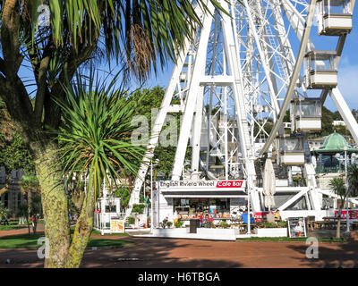 Die riviera Rad und Cafe hinter einem torbay Palm Tree an einem sonnigen Tag in Torquay, Devon, Großbritannien. Stockfoto