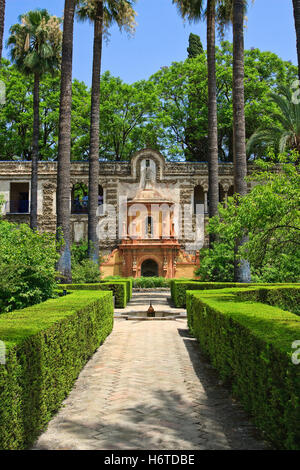 schöne beauteously schöne Reise historisch berühmten Baum Park Garten touristische Attraktion Büsche Europa Spanien Tourist im freien Stockfoto