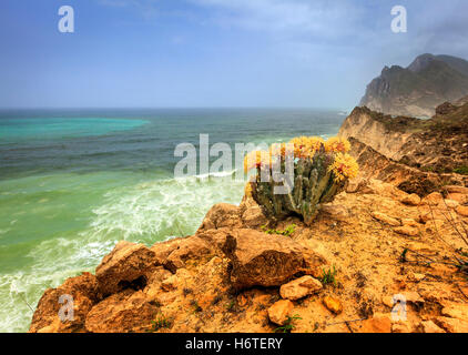 Klippen in der Nähe von Al Mughsayl Strand in Salalah, Oman Stockfoto