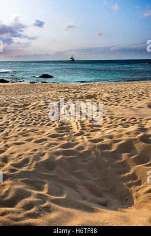 RMS St. Helena aus Georgetown Ascension Island vom toten Mannes Strand welche Schildkröte im Sand Spuren Stockfoto