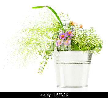 Pflanzen Blumen Stockfoto