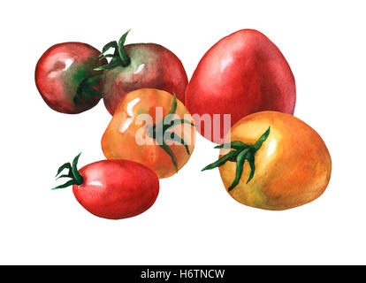 Anordnung mit ganz frischen roten und gelben Tomaten. Handgezeichnete Aquarell auf weißem Hintergrund Stockfoto