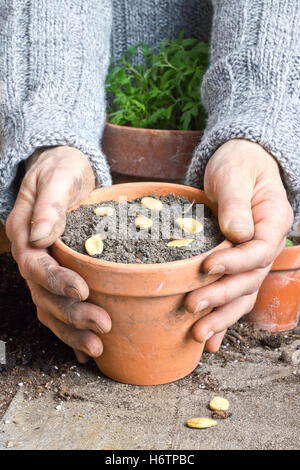 Landwirtschaft Stockfoto