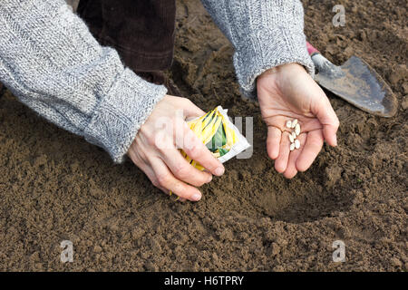 Landwirtschaft Stockfoto